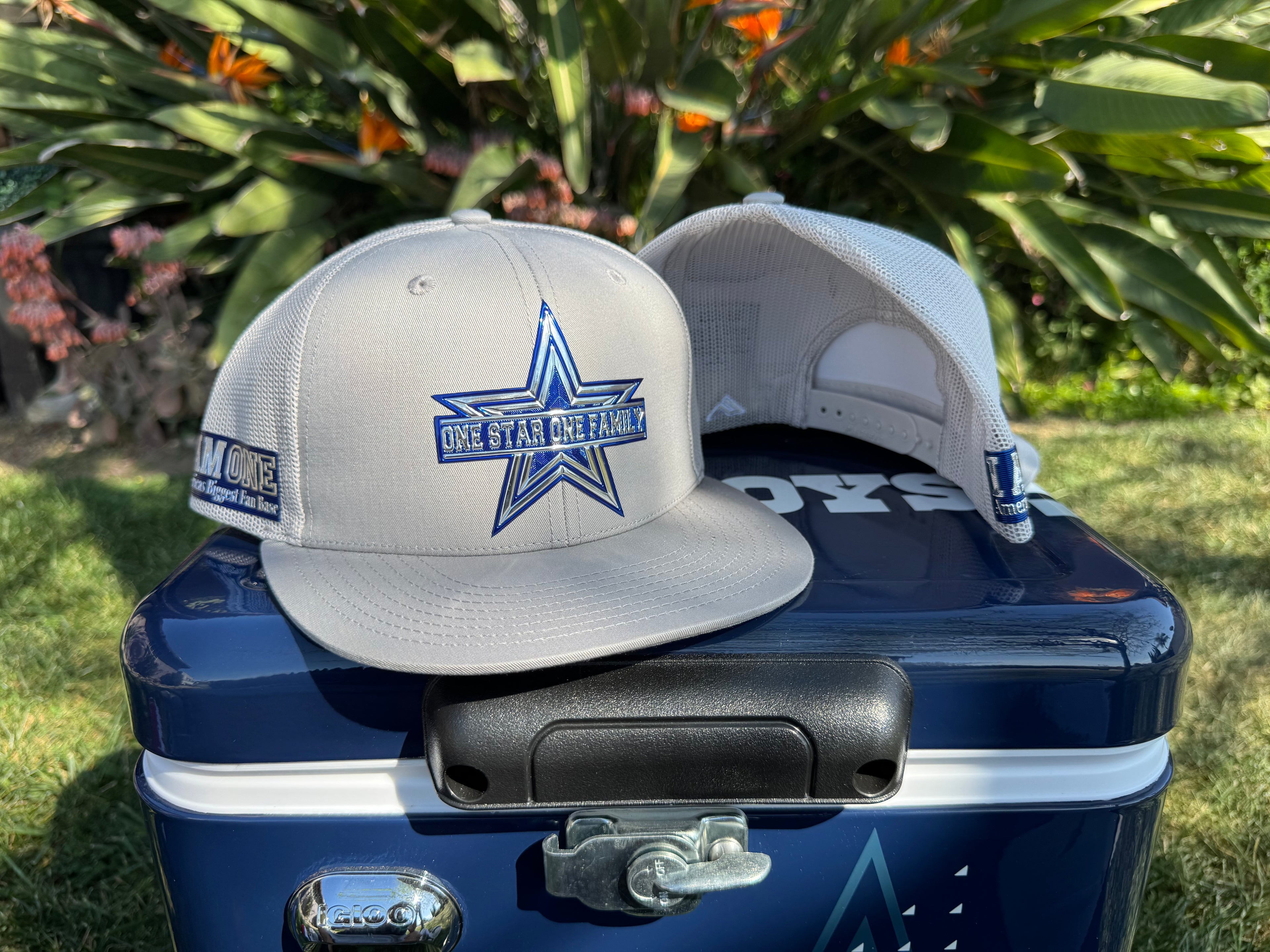 Snap Back Silver Series Logo Hat